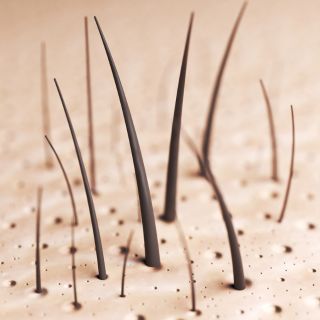 Favorisce la ricrescita di capelli più forti e folti